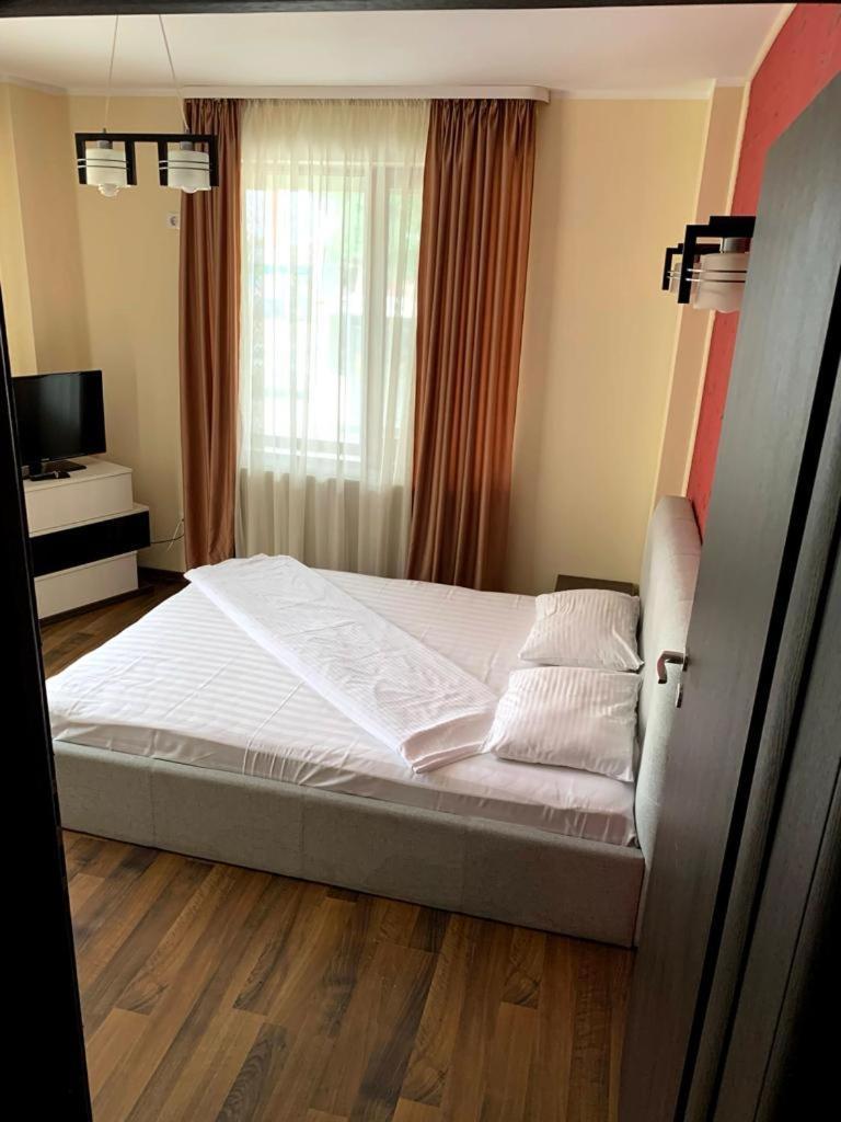 Arlequin Apartments Mamaia Extérieur photo